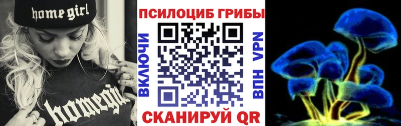 Псилоцибиновые грибы ЛСД  хочу   Суздаль 